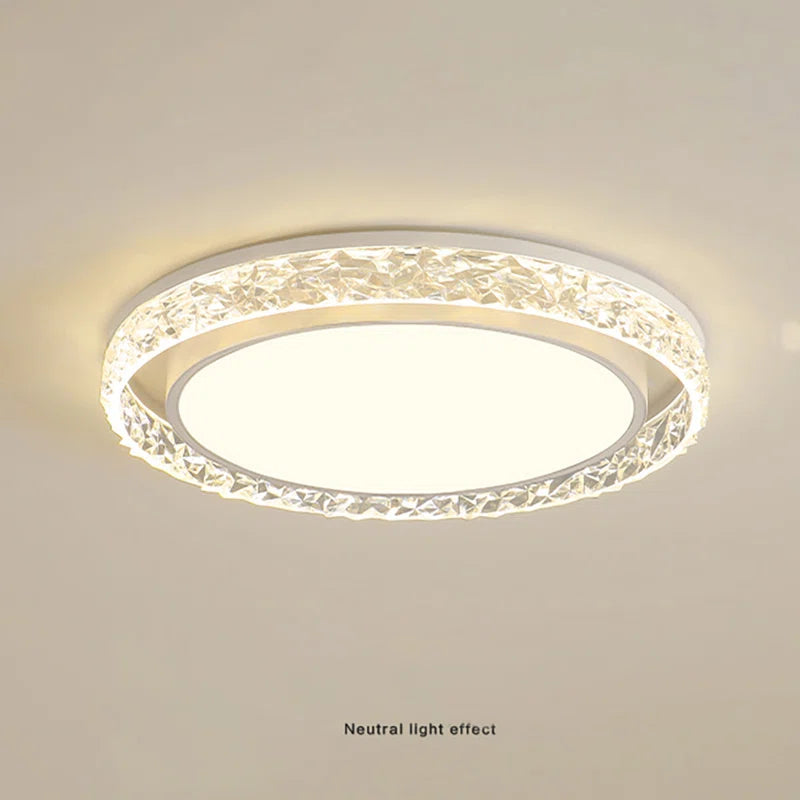 Abdul-Rehman Acrylic LED Flush Mount