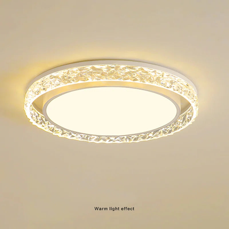 Abdul-Rehman Acrylic LED Flush Mount