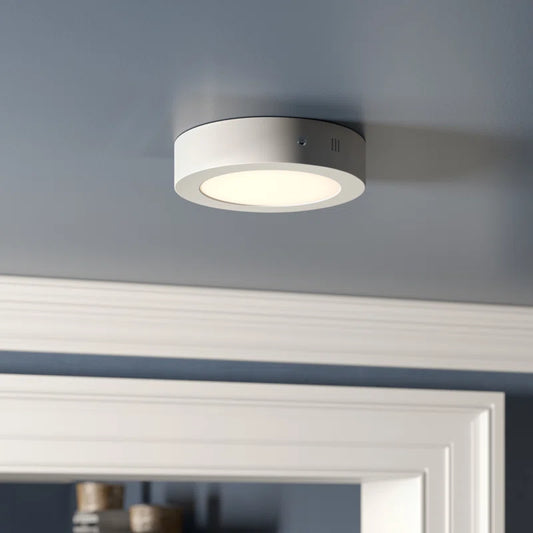 Sierra 1-Light 22Cm LED Flush Mount