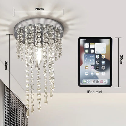 Nowicki 1-Light 20Cm Crystal Flush Mount Ceiling Light